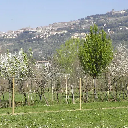 Semesterbostad San Marco