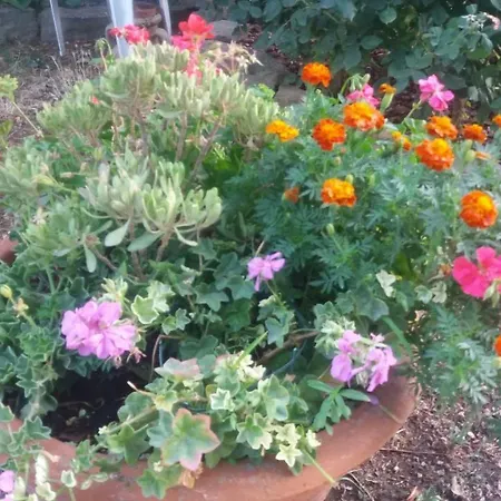 Semesterbostad San Marco *