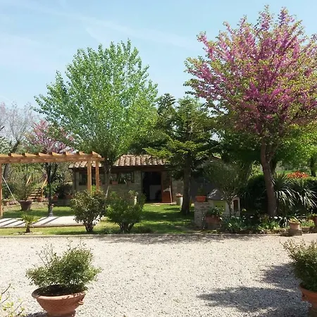 San Marco Holiday home Cortona